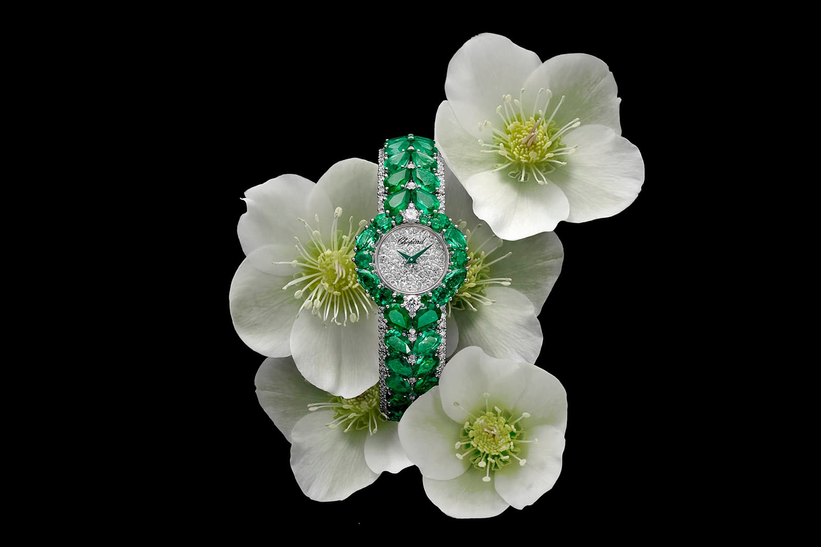 Kỳ Lân Luxury chopard esperanza watch patrick csajko Tổng hợp các mẫu đồng hồ đính đá kim cương cao cấp bậc nhất trong năm 2021
