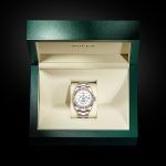 Kỳ Lân Luxury m326935 0005 modelpage in box landscape 1 ROLEX SKY-DWELLER 42mm - VÀNG EVEROSE 18 CT - M326935-0005