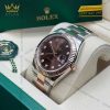 Đồng hồ Rolex Datejust 41 mặt số chocolate kim cương 126331-0003