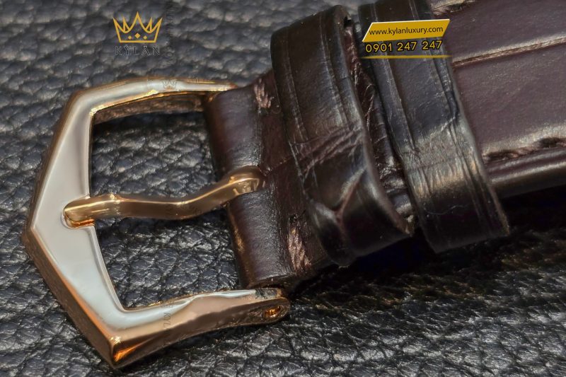 Đồng hồ Patek Philippe Complications 5905R 001 mặt số nâu