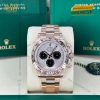 Đồng hồ Rolex Cosmograph Daytona mặt sundust phối đen 126505-0003