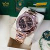 Đồng hồ Rolex Cosmograph Daytona mặt chocolate phối đen 126505-0005
