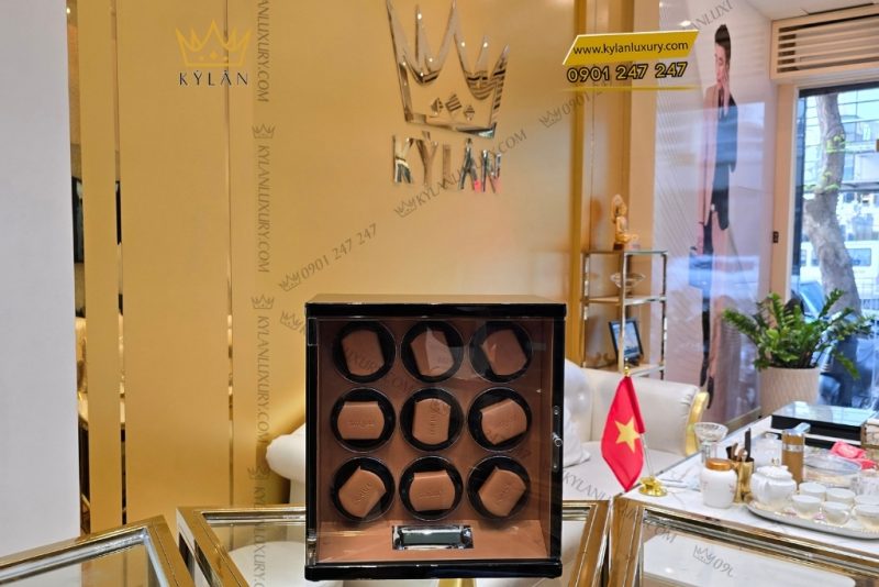 Hộp xoay đồng hồ Driklux khóa vân tay 9 ngăn