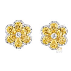 Bông tai vàng trắng Au750 đính kim cương và đá quý vàng