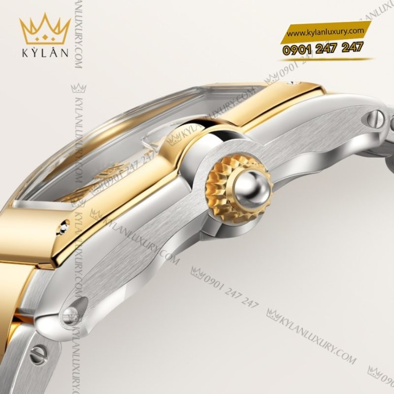 Đồng hồ Cartier Roadster demi vàng vàng 42mm CRW2RD0009