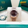 Đồng hồ Rolex Lady Datejust chocolate cọc kim sao 279175-0004