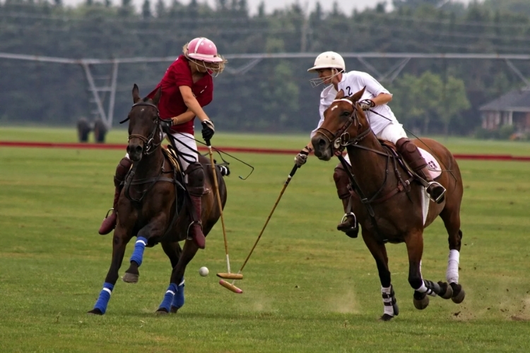 Tên gọi Piaget Polo lấy cảm hứng từ môn thể thao đề cao tốc độ, kỹ thuật và sự thanh lịch.
